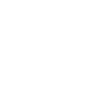 Top Notch Sports logo